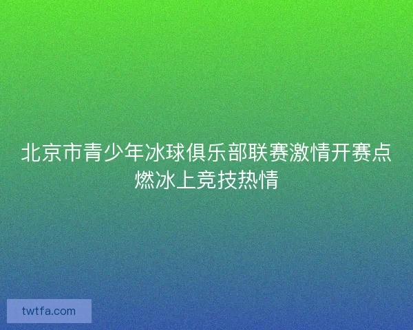 北京市青少年冰球俱乐部联赛激情开赛点燃冰上竞技热情